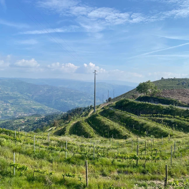Feel & Soul - Quinta do Castanheiro - Atividades e Visitas