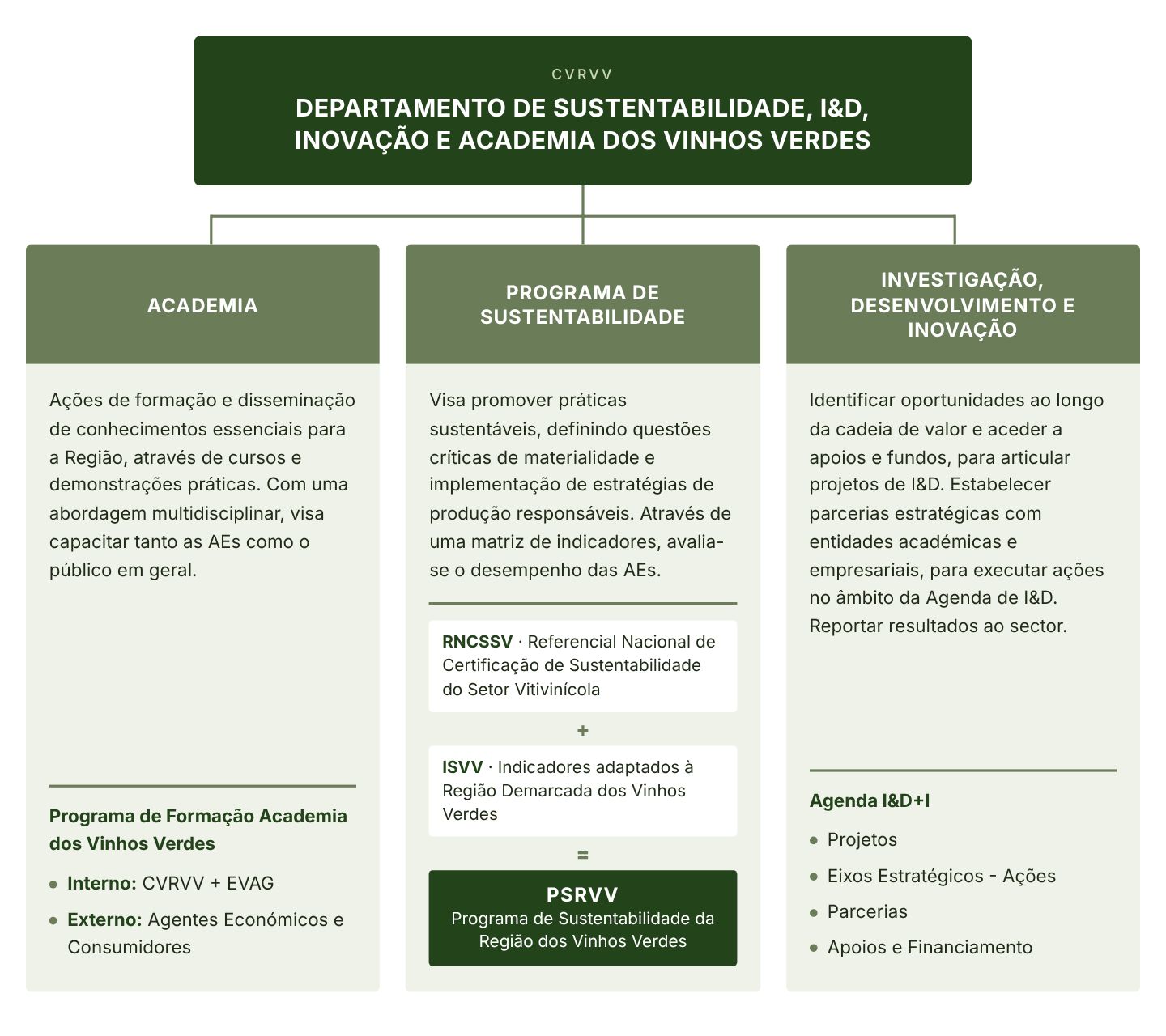 Organograma do Departamento de Sustentabilidade, I&D, Inovação e Academia dos Vinhos Verdes