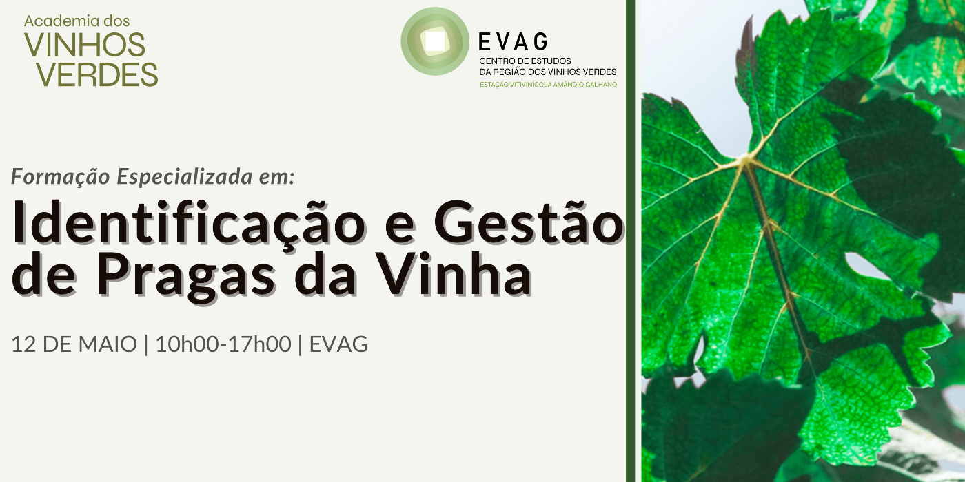 Forma&ccedil;&atilde;o Especializada: Identifica&ccedil;&atilde;o e Gest&atilde;o de Pragas da Vinha
