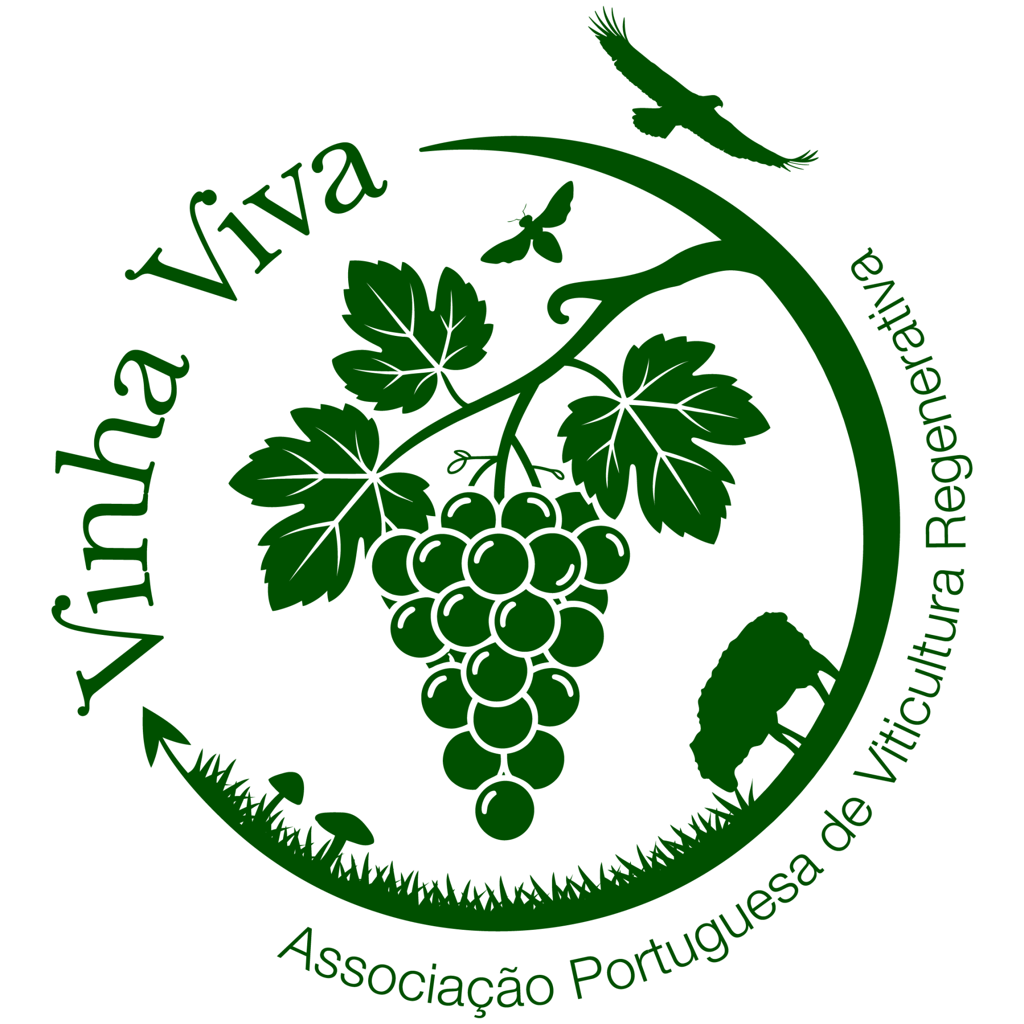 Academia Vinha Viva: Webinar - Introdu&ccedil;&atilde;o &agrave; Viticultura Regenerativa